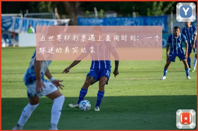 当世界杯彩票遇上查询时刻：一个球迷的真实记录