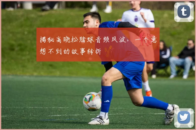 揭秘高晓松赌球音频风波，一个意想不到的故事转折