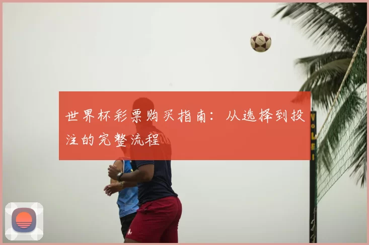 世界杯彩票购买指南:从选择到投注的完整流程