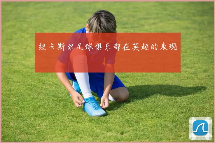 纽卡斯尔足球俱乐部在英超的表现