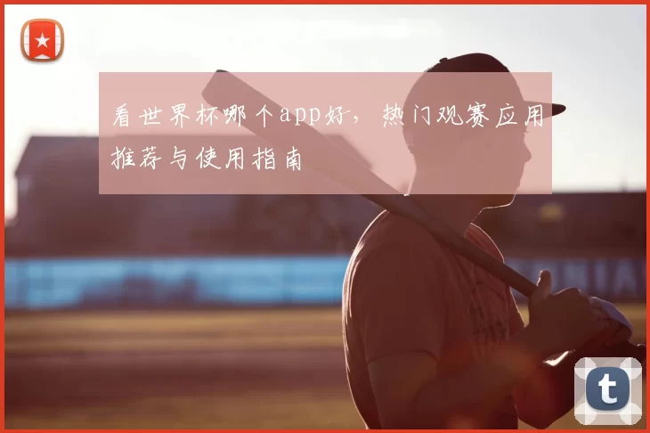 看世界杯哪个app好，热门观赛应用推荐与使用指南