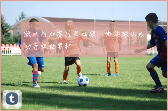 欧洲附加赛结果回顾：哪些球队成功晋级世界杯