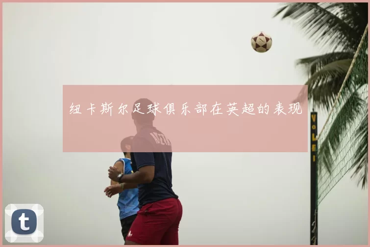 纽卡斯尔足球俱乐部在英超的表现