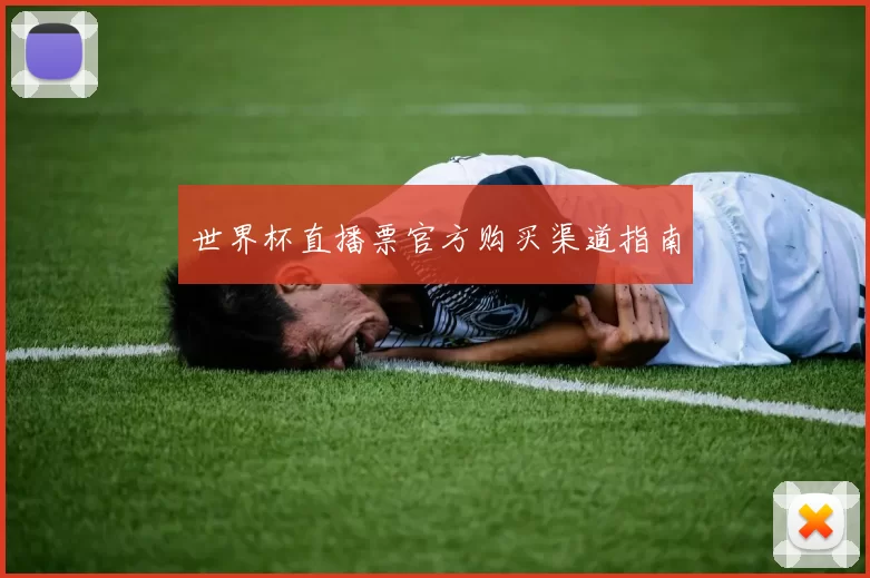 世界杯直播票官方购买渠道指南