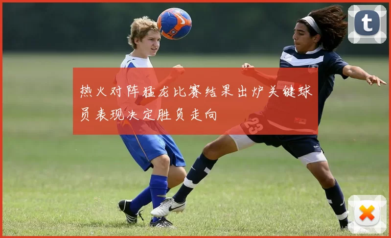 热火对阵猛龙比赛结果出炉关键球员表现决定胜负走向