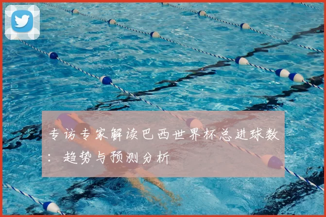 专访专家解读巴西世界杯总进球数：趋势与预测分析