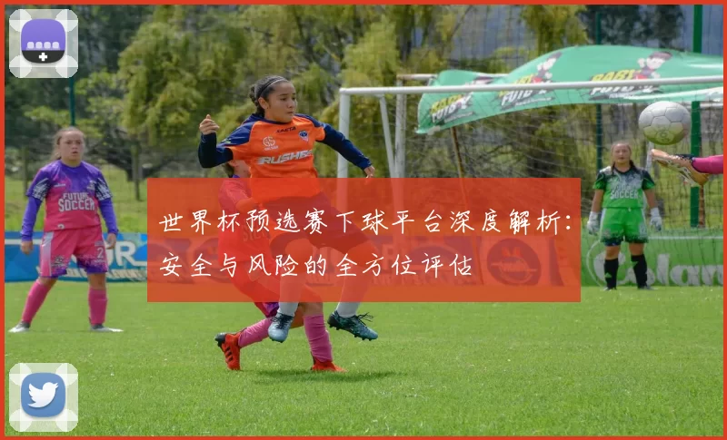 世界杯预选赛下球平台深度解析:安全与风险的全方位评估