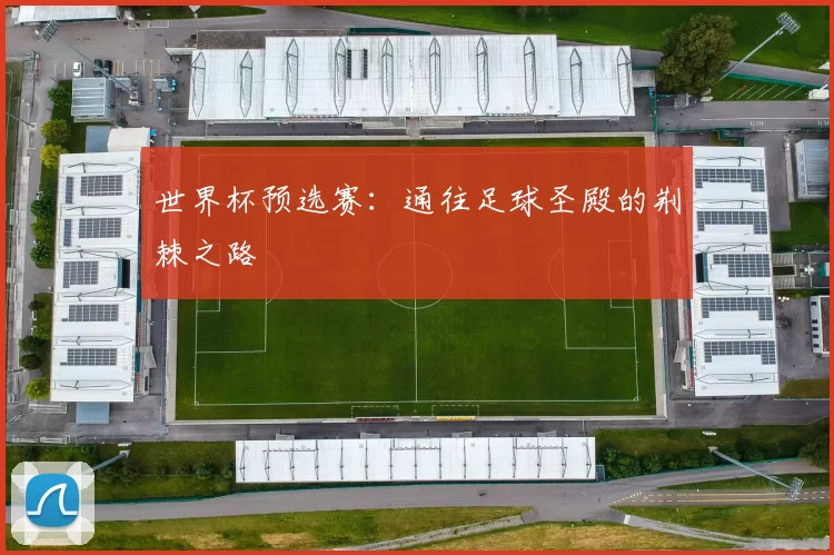 世界杯预选赛：通往足球圣殿的荆棘之路
